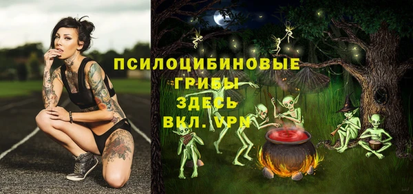 спиды Алексин