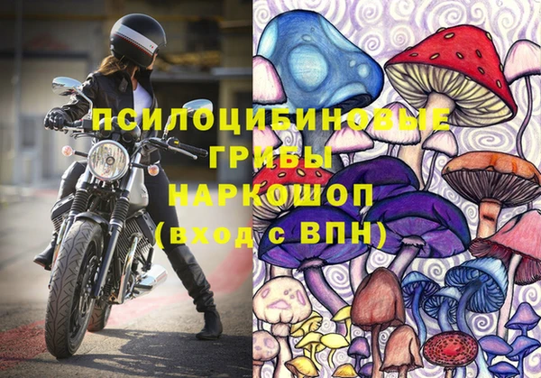 спиды Алексин